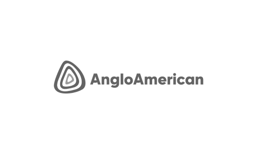 Anglo American Logo